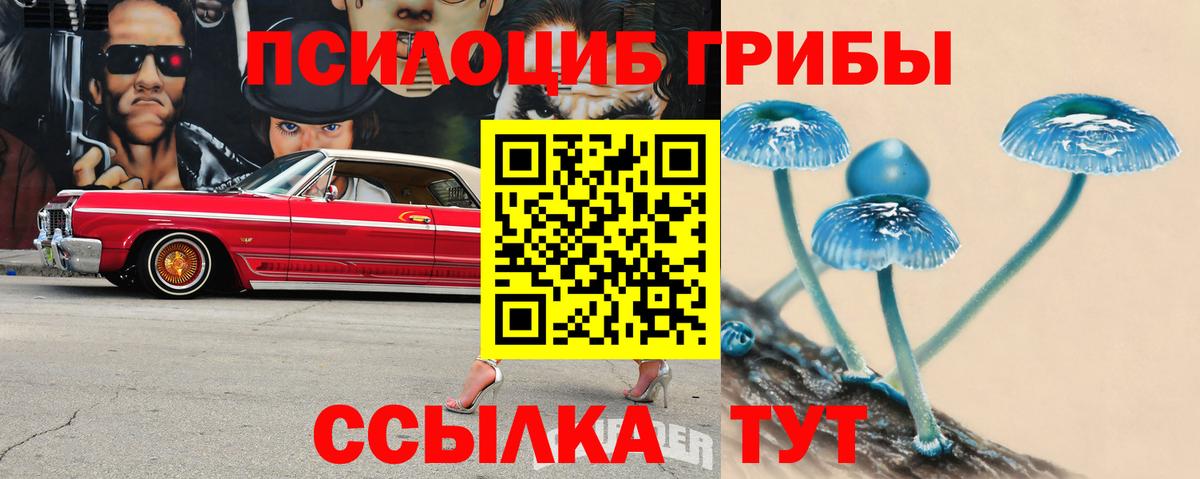 Галлюциногенные грибы GOLDEN TEACHER Лабытнанги